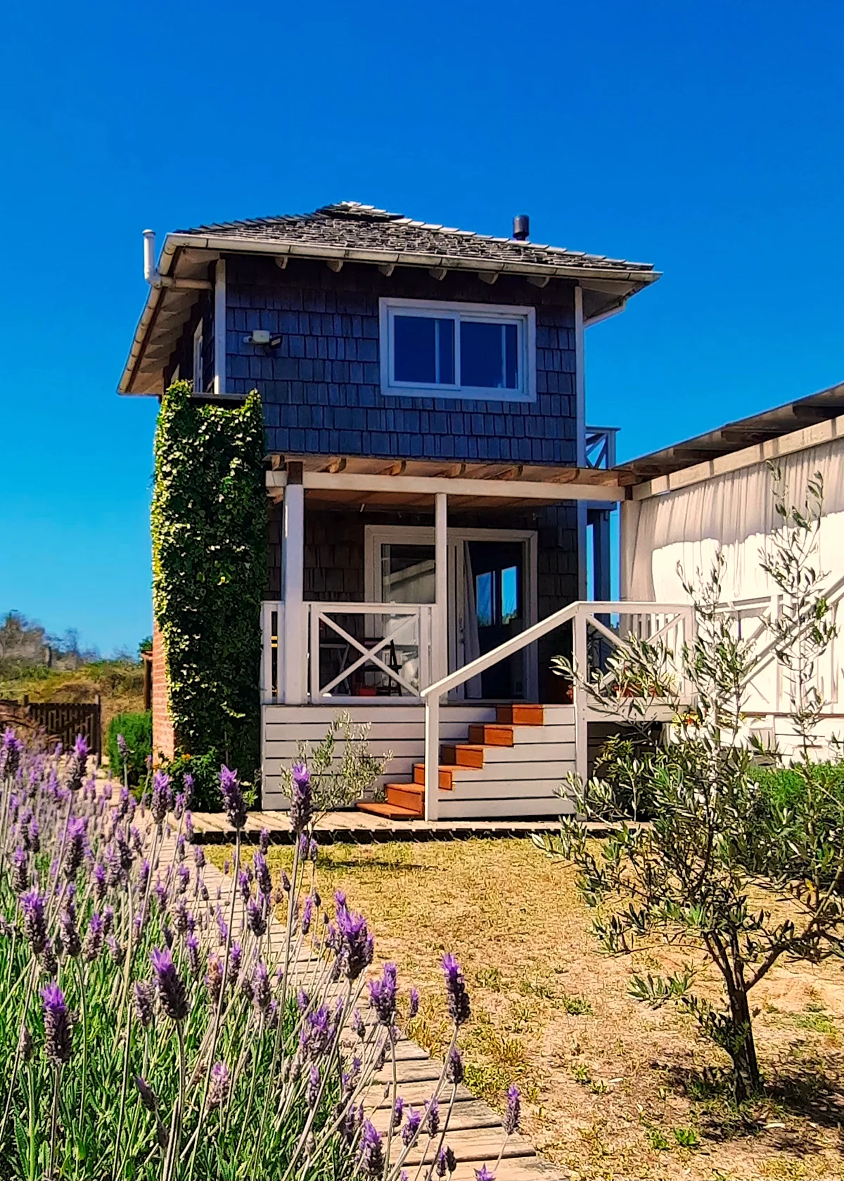 Las Escamadas, cabaña en Punta del Diablo (foto 1)