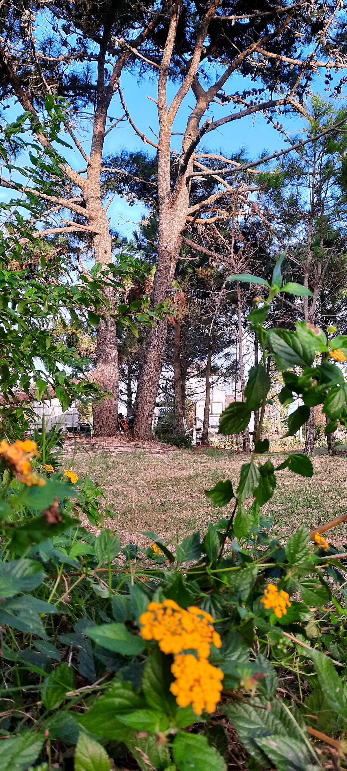 Villa Alba, cabaña en Punta del Diablo (foto 29)