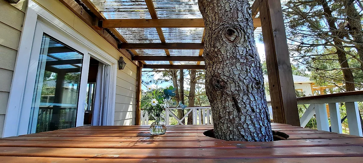 Villa del Sol, cabaña en Punta del Diablo (foto 4)